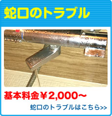 蛇口のトラブル